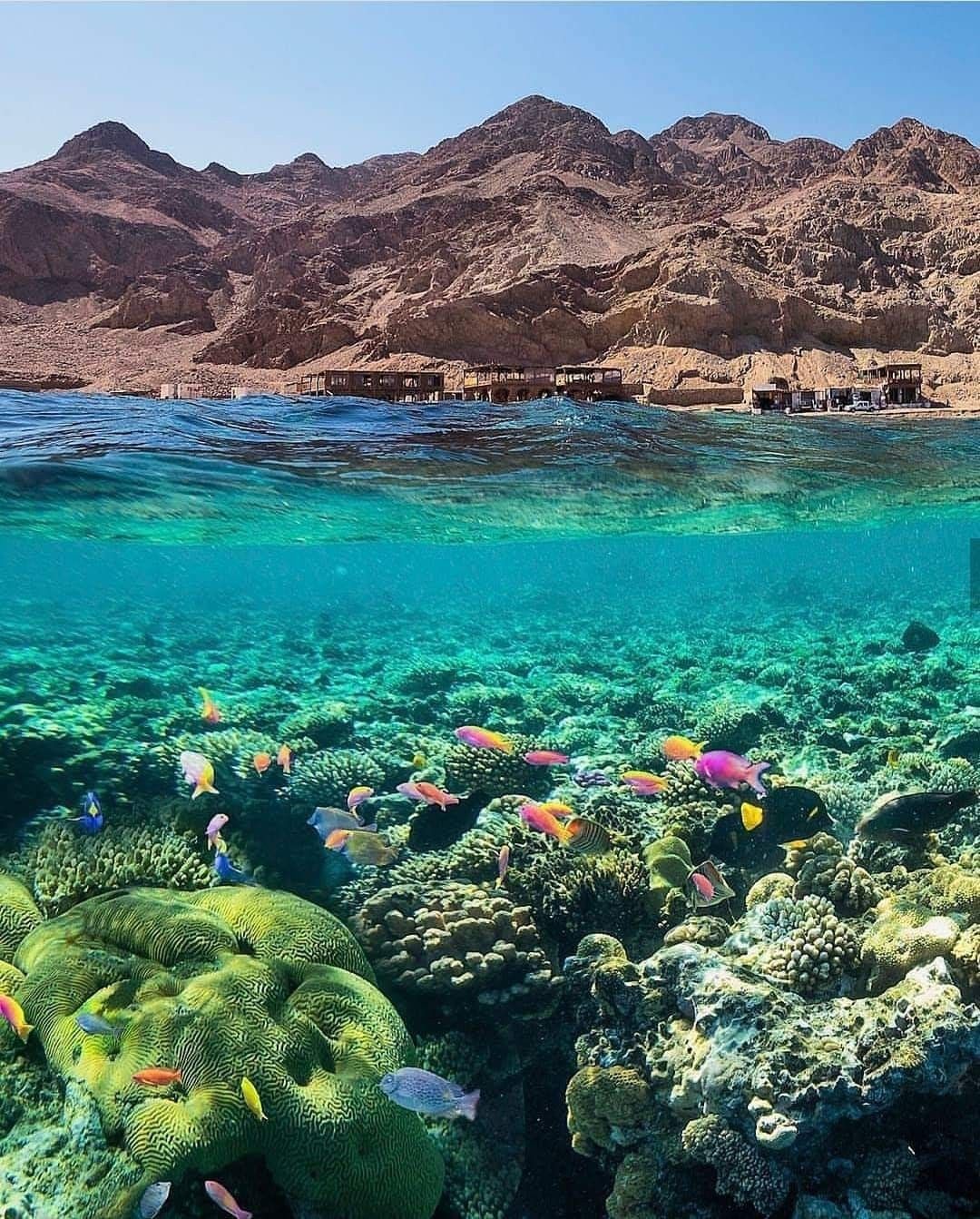 Dahab Chart